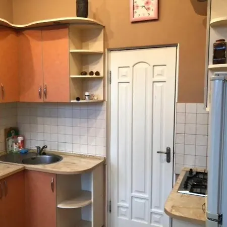 In Center On дальницкой улице Apartment